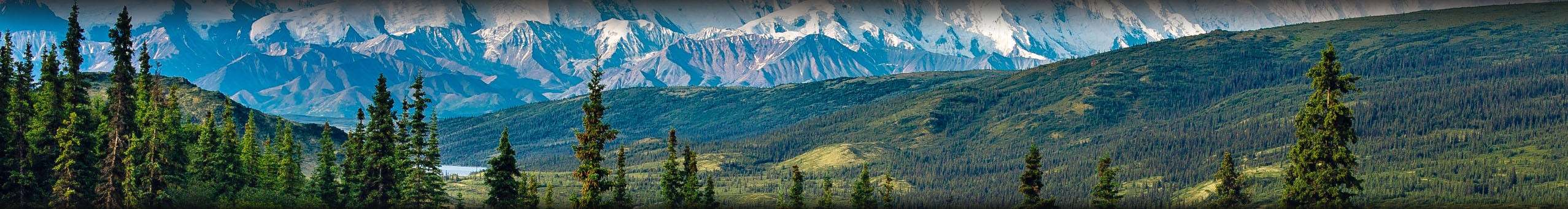 Earth phpBb theme Earth nature field